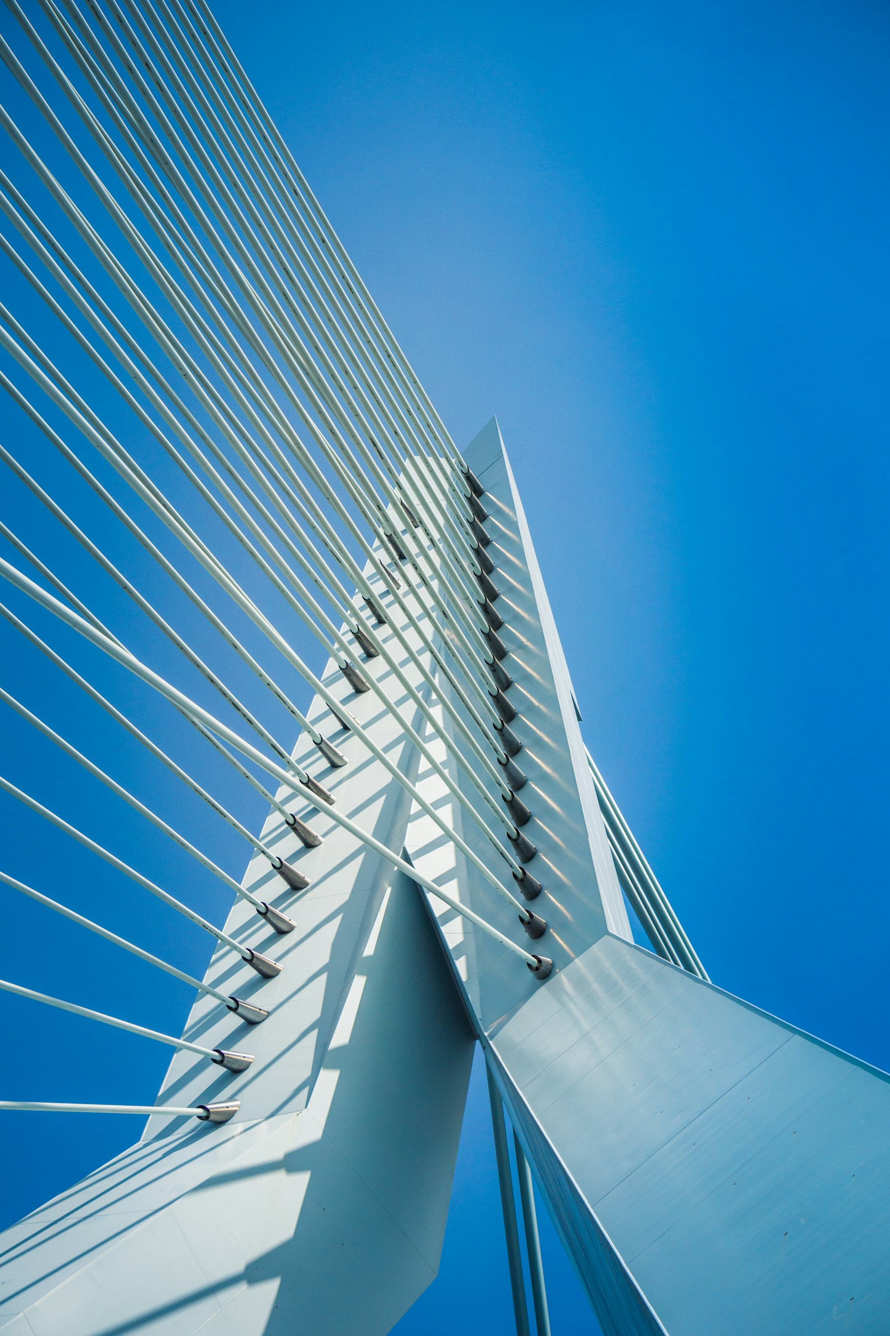 Kabels van de Erasmusbrug in Rotterdam